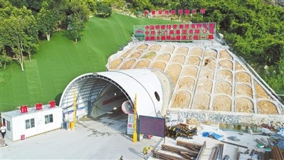 1605866738812083.jpg 3.jpg