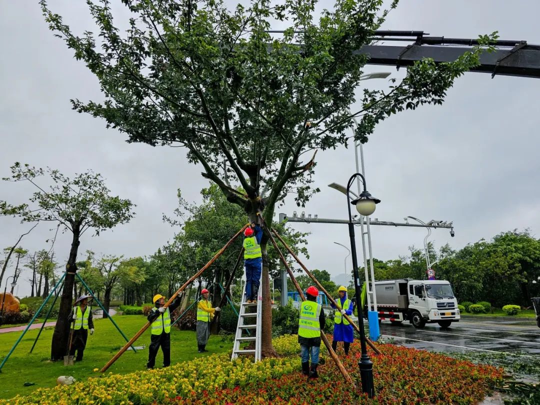 1693876553327380.jpg 3.jpg