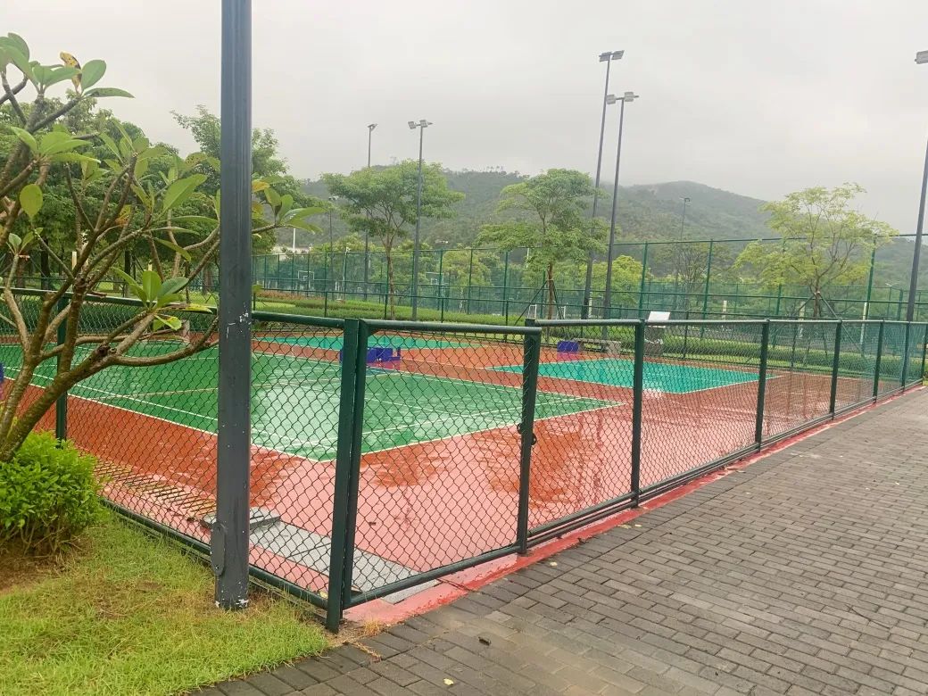 1700553901894593.jpg 9.jpg