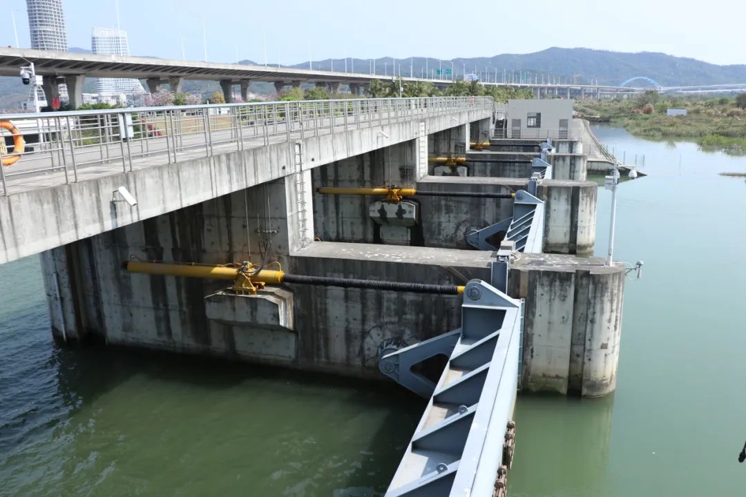 1704180460343421.jpg 22.jpg