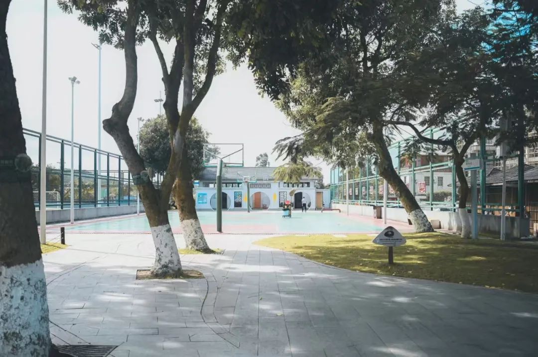 1732179423101181.jpg 52.jpg