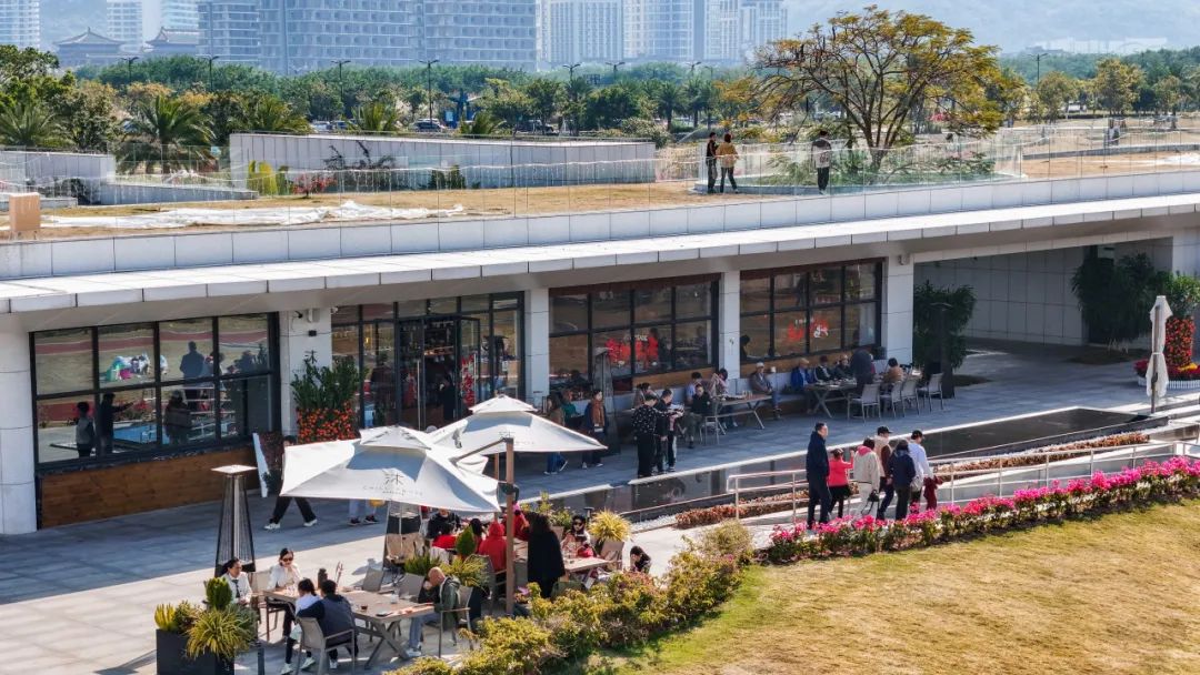 1739001815467376.jpg 11.jpg