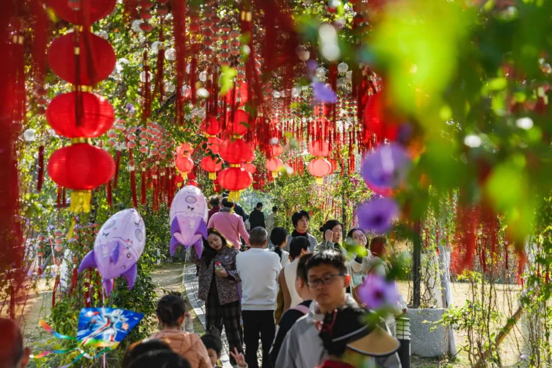 1739001830823576.jpg 12.jpg